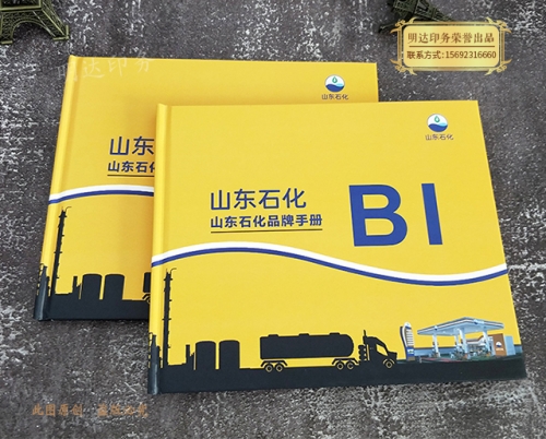 企業(yè)品牌畫(huà)冊(cè)